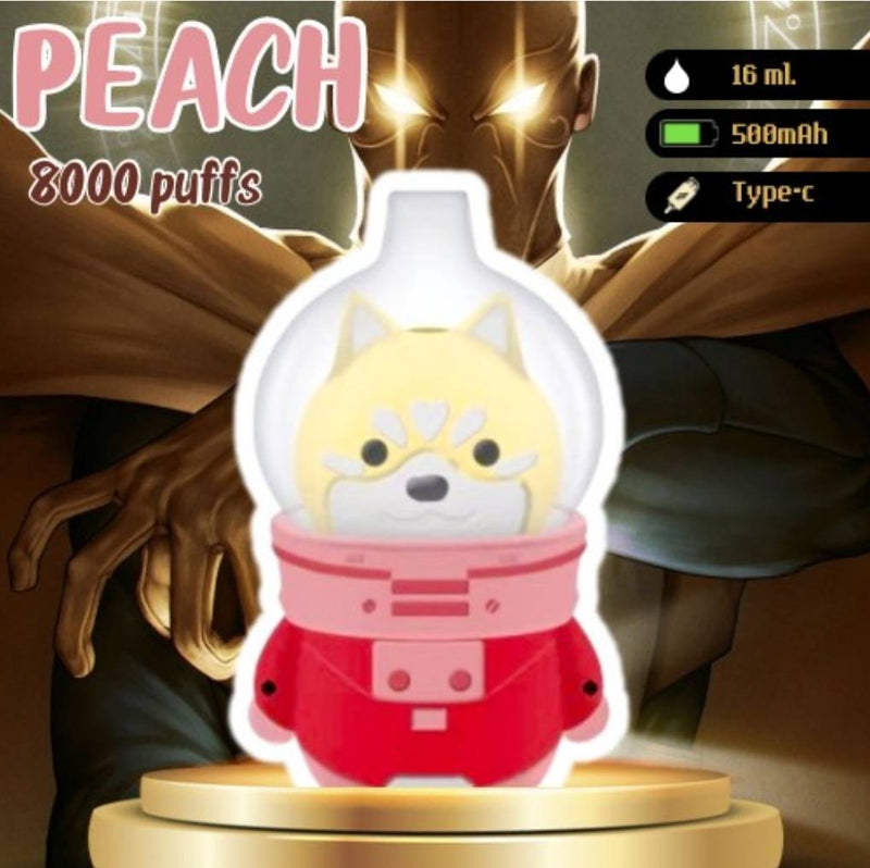 พอตใช้แล้วทิ้ง SPACE HUSKY - 8000 คำ ราคาส่ง