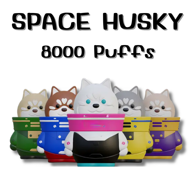 พอตใช้แล้วทิ้ง SPACE HUSKY - 8000 คำ ราคาส่ง